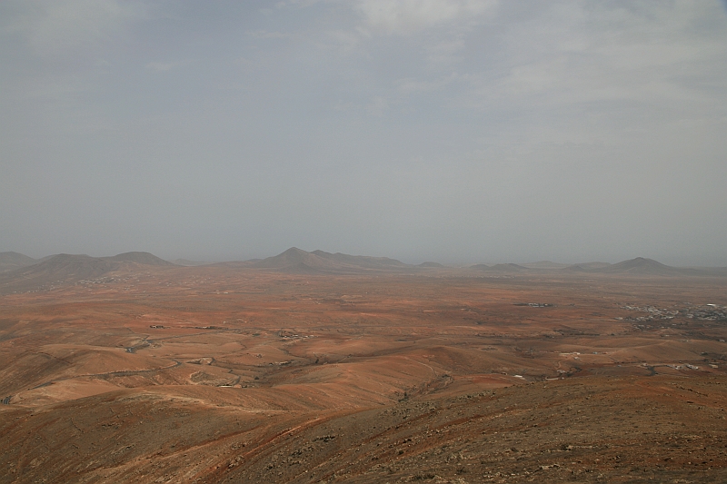 Kanary_2010 161